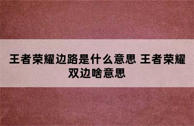 王者荣耀边路是什么意思 王者荣耀双边啥意思